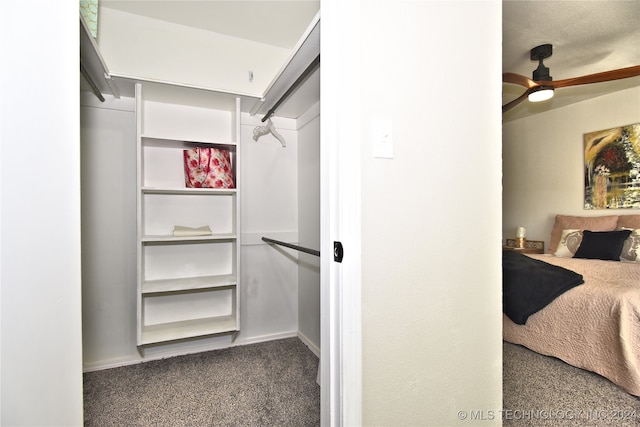 walk in closet with carpet floors and ceiling fan