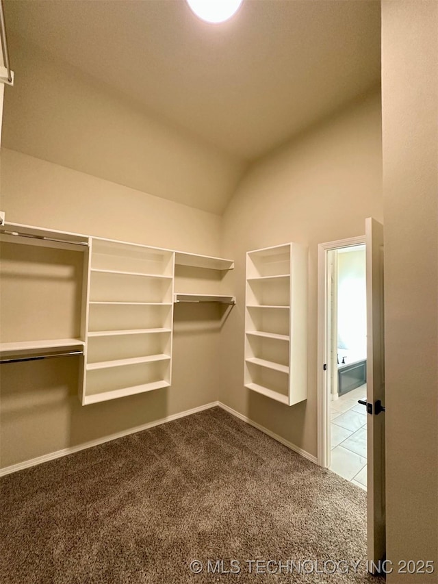 spacious closet featuring lofted ceiling and carpet flooring