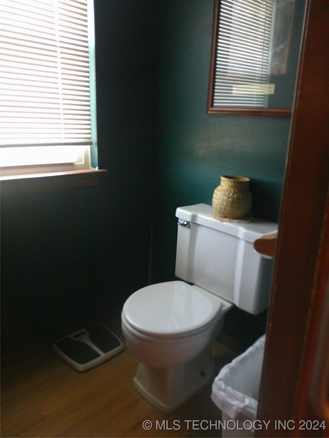 bathroom with hardwood / wood-style floors and toilet