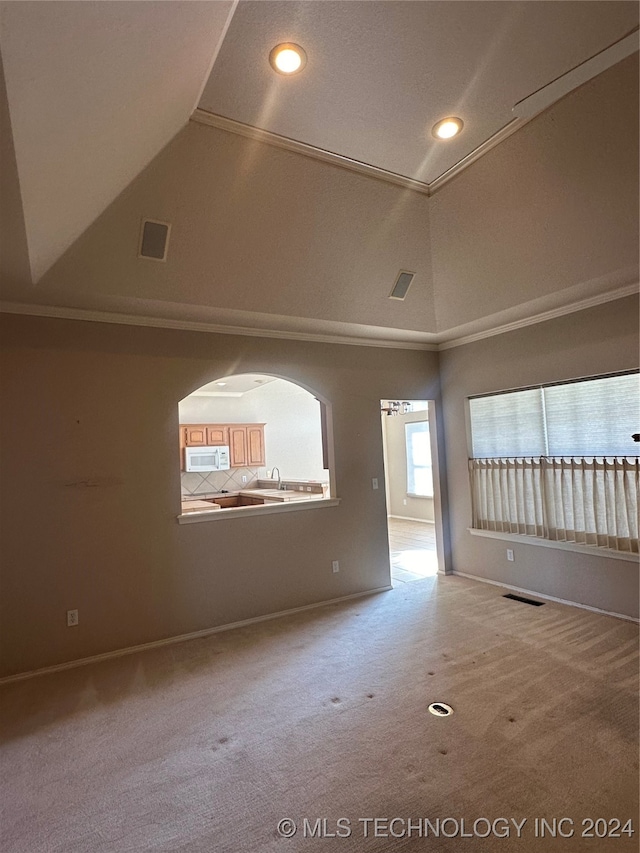 empty room with vaulted ceiling, sink, and carpet flooring