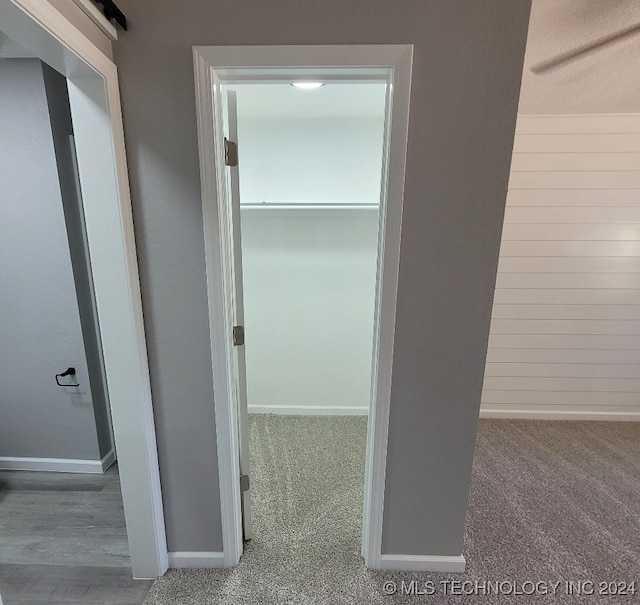 corridor with a barn door and carpet floors