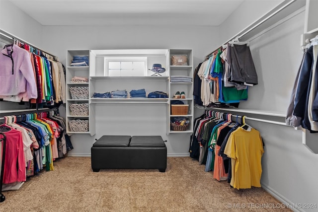 spacious closet featuring light carpet