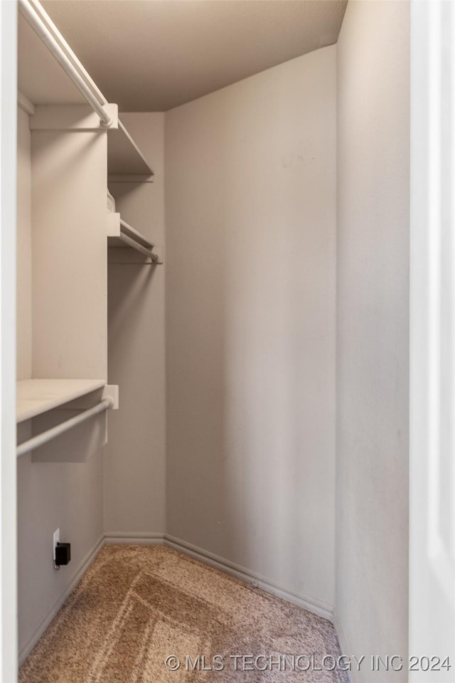 walk in closet with light colored carpet