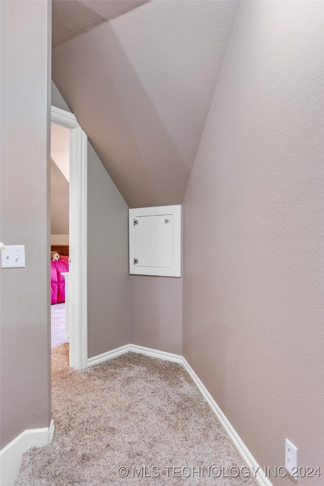 additional living space with light colored carpet and lofted ceiling