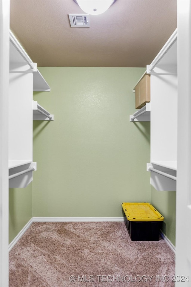 spacious closet with carpet