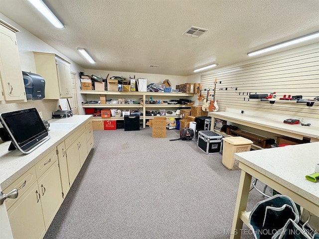 interior space featuring light carpet, a textured ceiling, and a workshop area