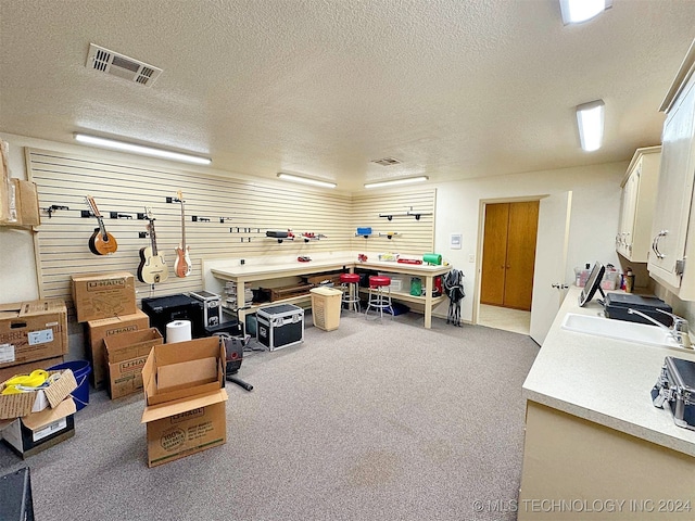 misc room featuring carpet, a workshop area, and a textured ceiling