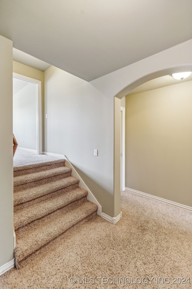 staircase with carpet flooring