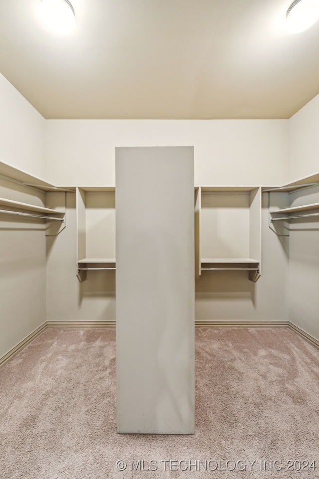 spacious closet with light colored carpet