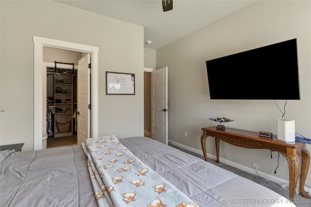 bedroom featuring a closet, a walk in closet, carpet floors, and ceiling fan