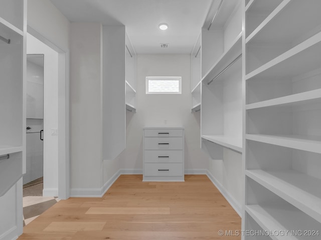 spacious closet with light wood-type flooring