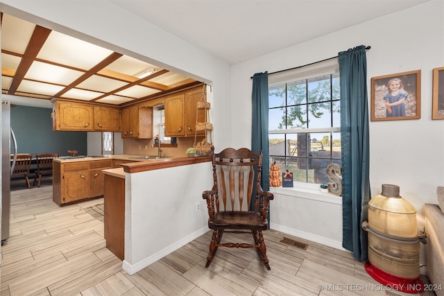 kitchen featuring sink and kitchen peninsula