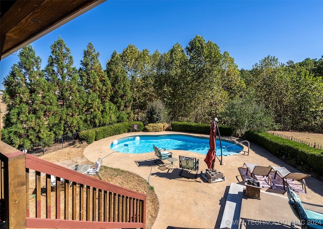 view of pool featuring a patio