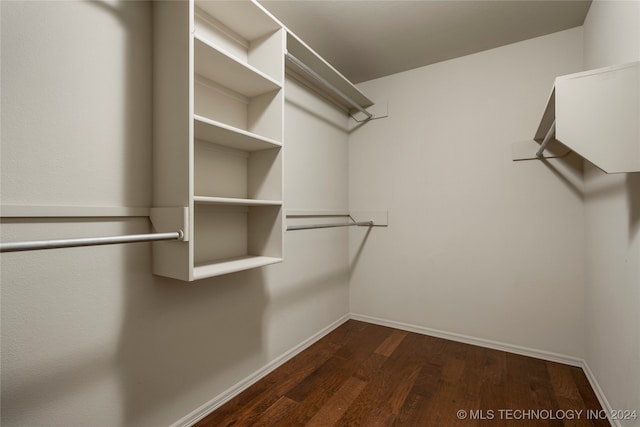 spacious closet featuring dark hardwood / wood-style flooring