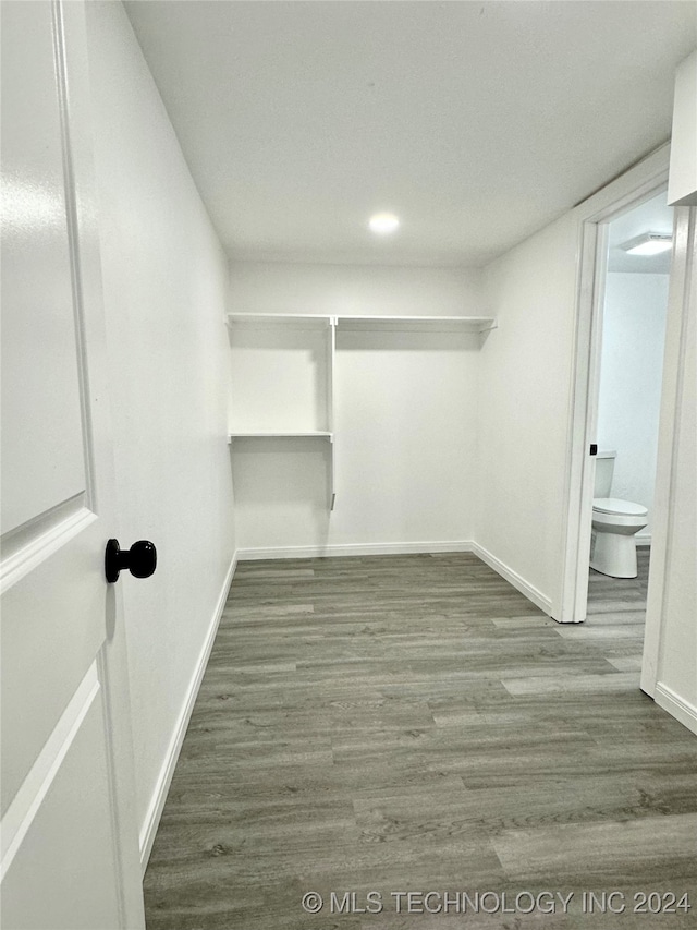 walk in closet with wood-type flooring