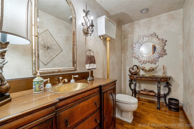 bathroom featuring toilet, vanity, and wood-type flooring