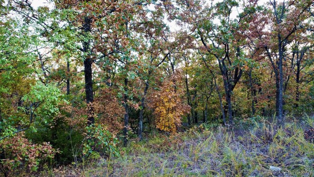 31 Destiny Ln, Skiatook, OK 74070