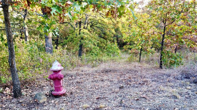 31 Destiny Ln, Skiatook, OK 74070