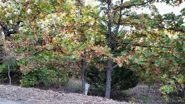 31 Destiny Ln, Skiatook, OK 74070