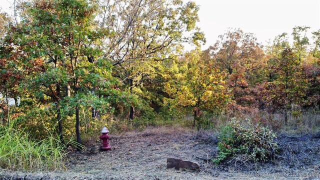 31 Destiny Ln, Skiatook, OK 74070