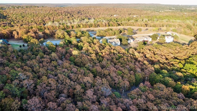 31 Destiny Ln, Skiatook, OK 74070