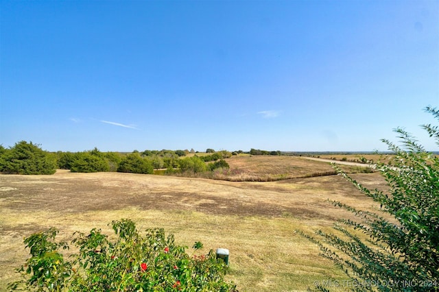 view of yard featuring a rural view