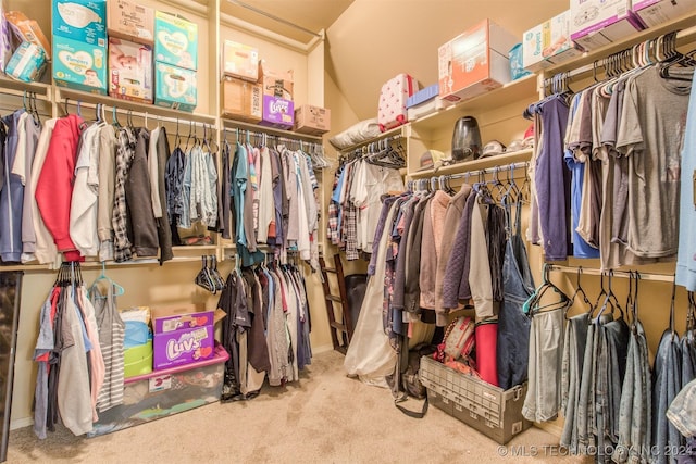 spacious closet with carpet flooring