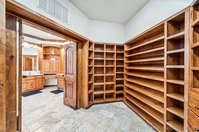 view of spacious closet