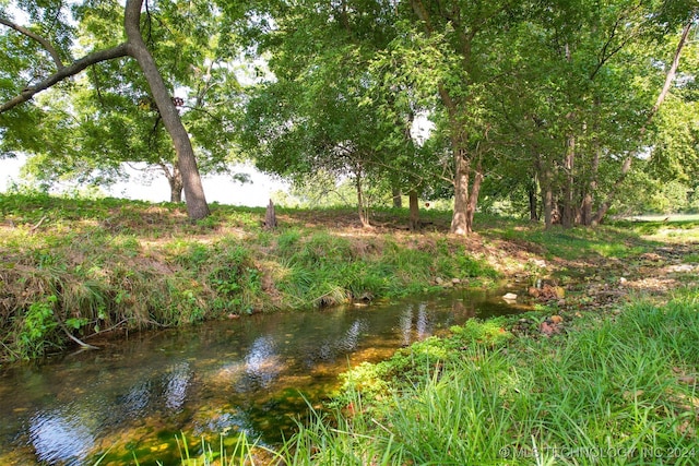 view of local wilderness