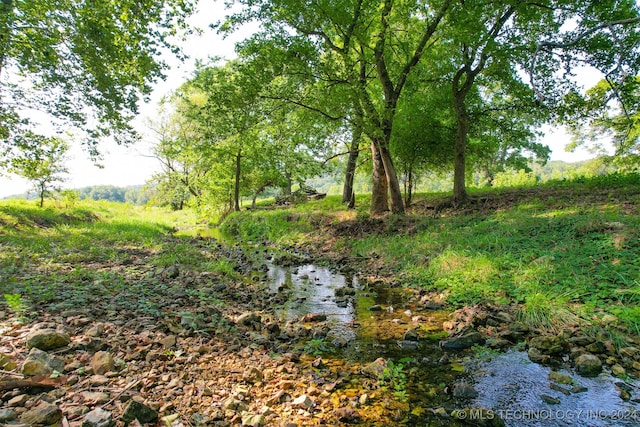 view of landscape