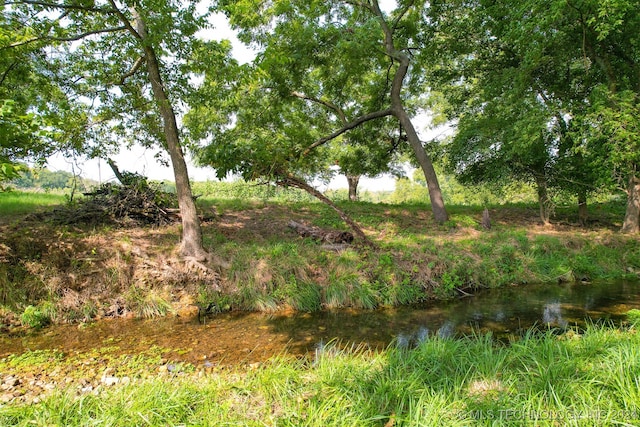 view of landscape featuring a water view