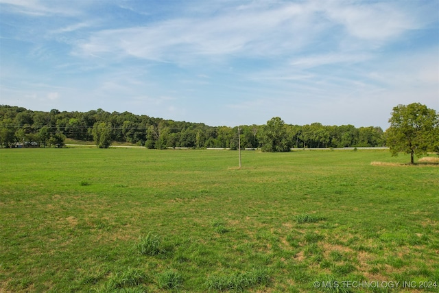 view of local wilderness with a rural view