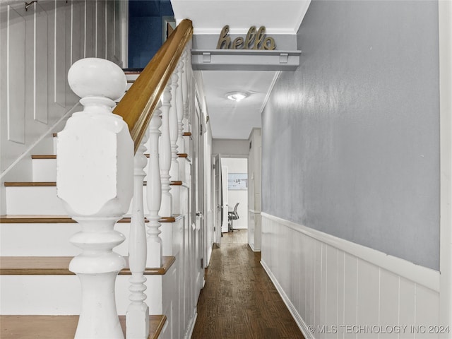 corridor with crown molding and dark hardwood / wood-style flooring