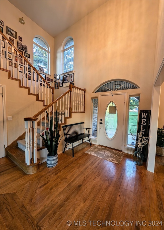 foyer featuring a towering ceiling and wood-type flooring