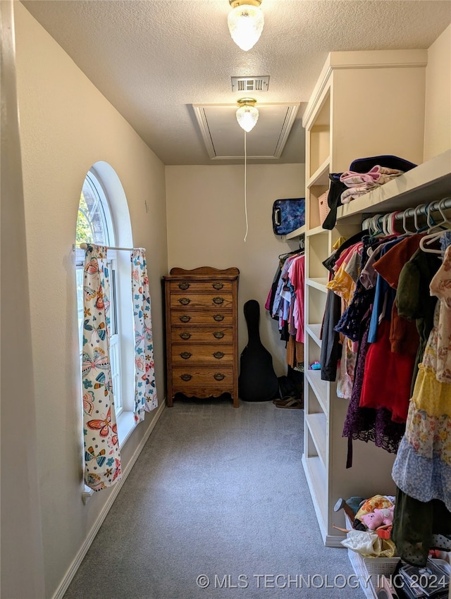 walk in closet featuring carpet