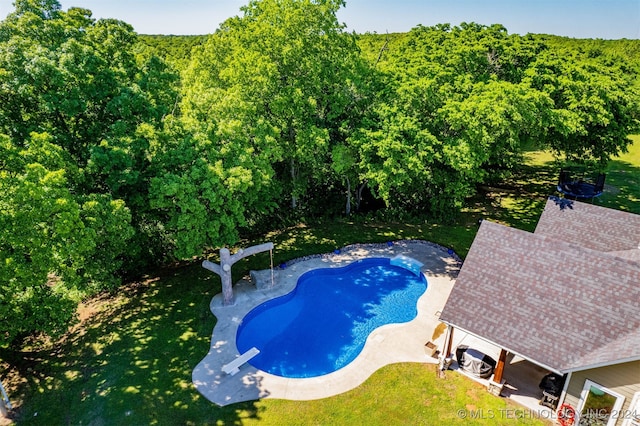 view of swimming pool featuring a patio and a diving board