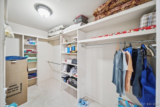 spacious closet featuring light carpet