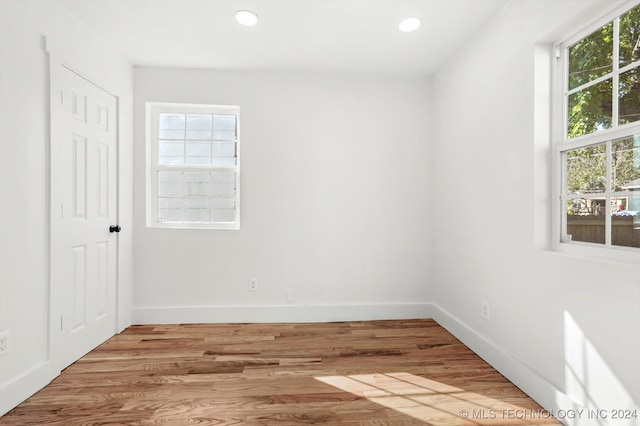 empty room with a wealth of natural light and light wood-type flooring