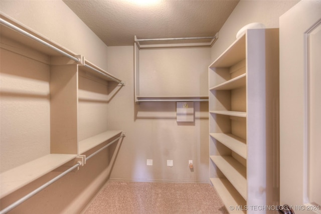 spacious closet featuring carpet flooring