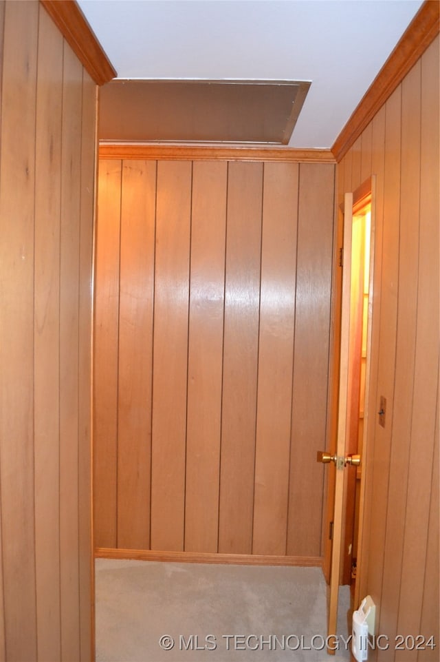 interior space featuring wooden walls and carpet flooring