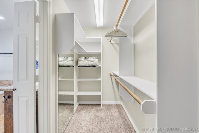 spacious closet with light carpet