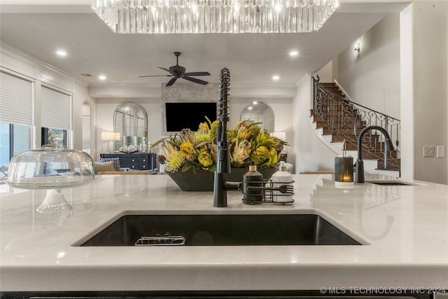 room details featuring ornamental molding, sink, and ceiling fan