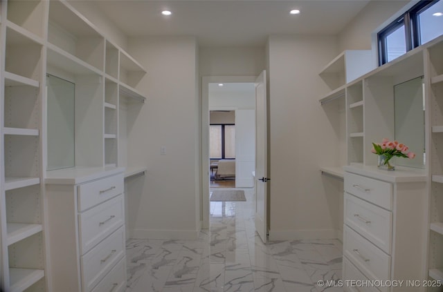 view of walk in closet