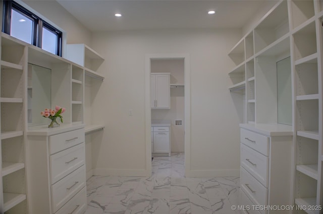 view of spacious closet