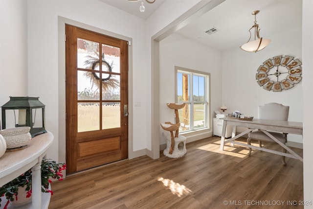 foyer featuring a wealth of natural light and dark wood-type flooring