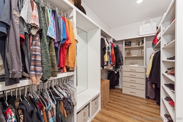 spacious closet featuring light wood-type flooring