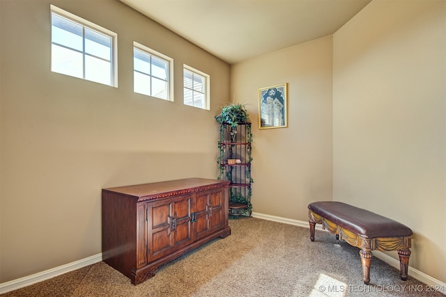 living area with light carpet