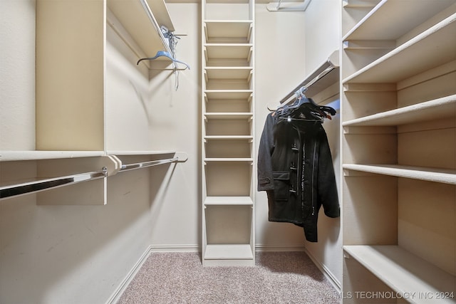 spacious closet with carpet