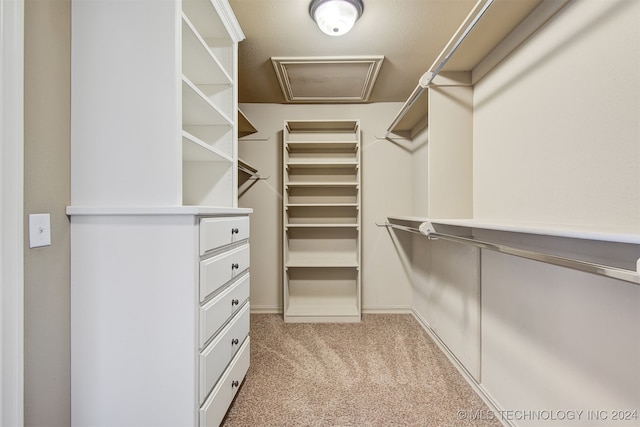 spacious closet with light carpet