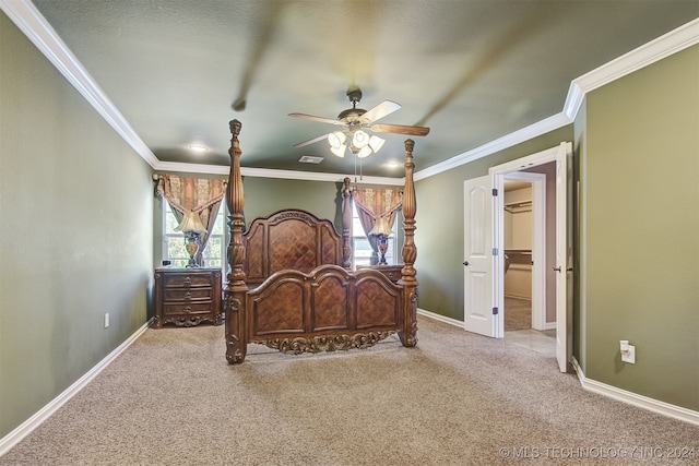 carpeted bedroom with a walk in closet, ornamental molding, and ceiling fan